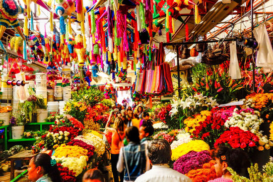 Picture of 2024 Mexico City Series