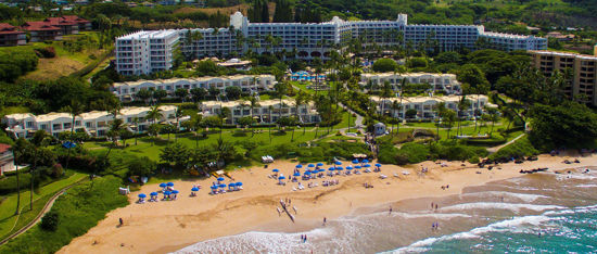 Picture of 2024 Giants Vacation in Paradise