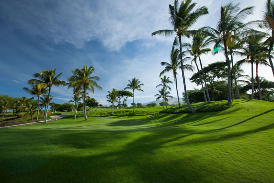 Picture of 2024 Giants Vacation in Paradise