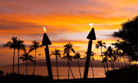 Picture of 2024 Giants Vacation in Paradise