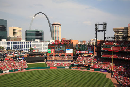 Picture of 2025 Tigers at St Louis