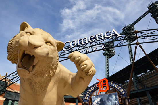 Picture of 2025 Tigers VIP Fan Experience