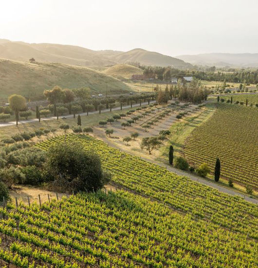 Picture of 2026 Cardinals at San Francisco 